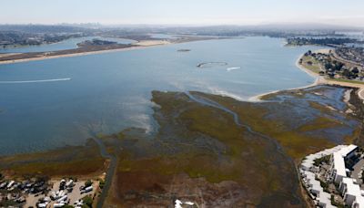 Michael Smolens: Changes up and down San Diego's coast trigger familiar battles