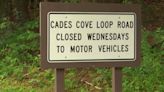 Cades Cove vehicle-free Wednesdays are back at GSMNP