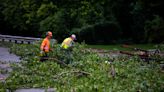 Girl electrocuted, woman crushed by tree amid heavy Midwest thunderstorms