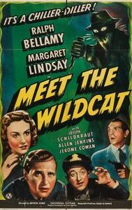 Meet the Wildcat