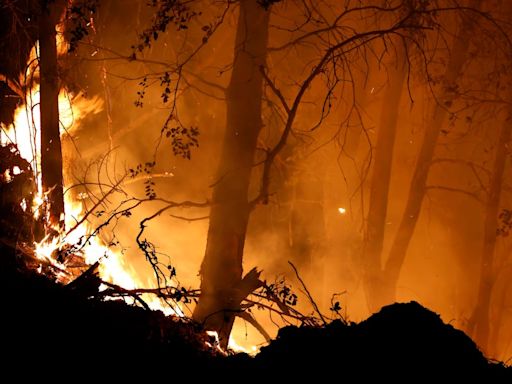 California declara el estado de emergencia ante el incendio forestal más grande del año