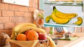 You’ve been storing bananas all wrong — how to keep them fresh for longer