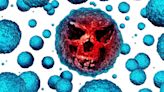 Japón enciende las alarmas por bacteria carnívora que mata en 2 días