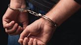 137 Indian Nationals Arrested In Sri Lanka For Cybercrime Operations: Cops