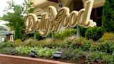 Police investigating 11 car burglaries at Dollywood