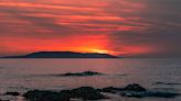 The 'truly unique' Irish island with sandy beaches home to group of wallabies