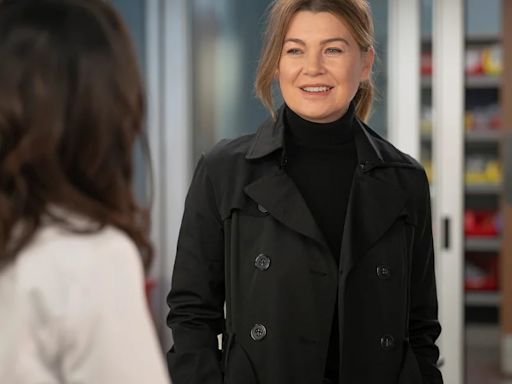 “Grey’s Anatomy” lanza su histórica temporada 20