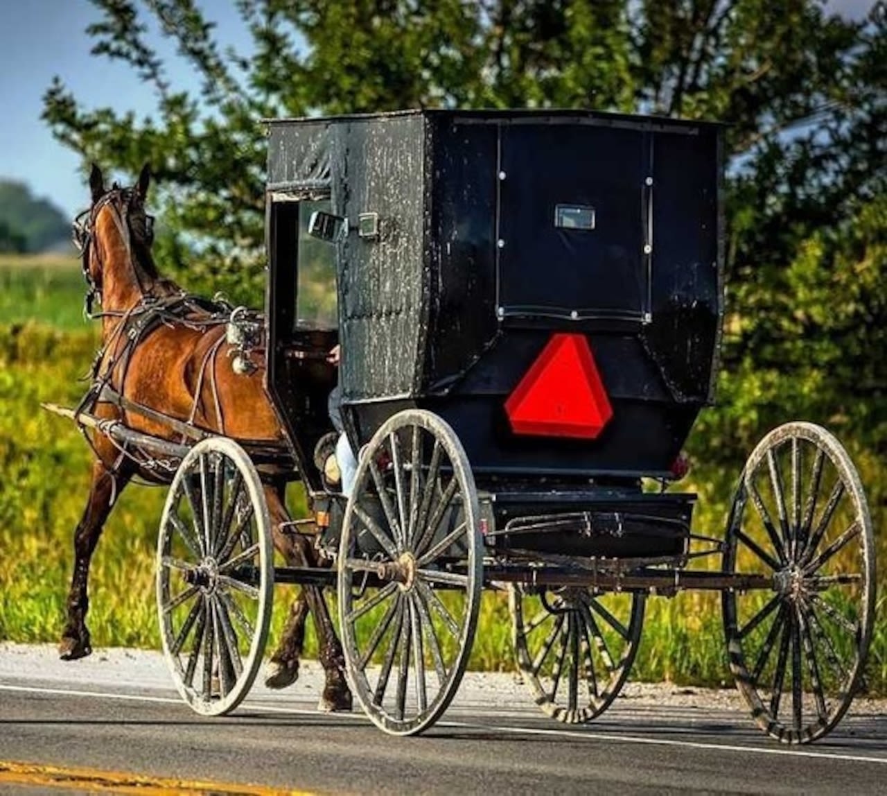 Girl hospitalized after being thrown from Amish buggy in crash