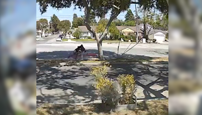Video: Teen girl attacked, robbed while sitting on bench in Long Beach