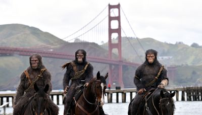 Costumed apes seen on horseback ride near Golden Gate Bridge