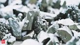 India on mission to become world's leading producer of critical minerals: Hindustan Zinc Chairperson