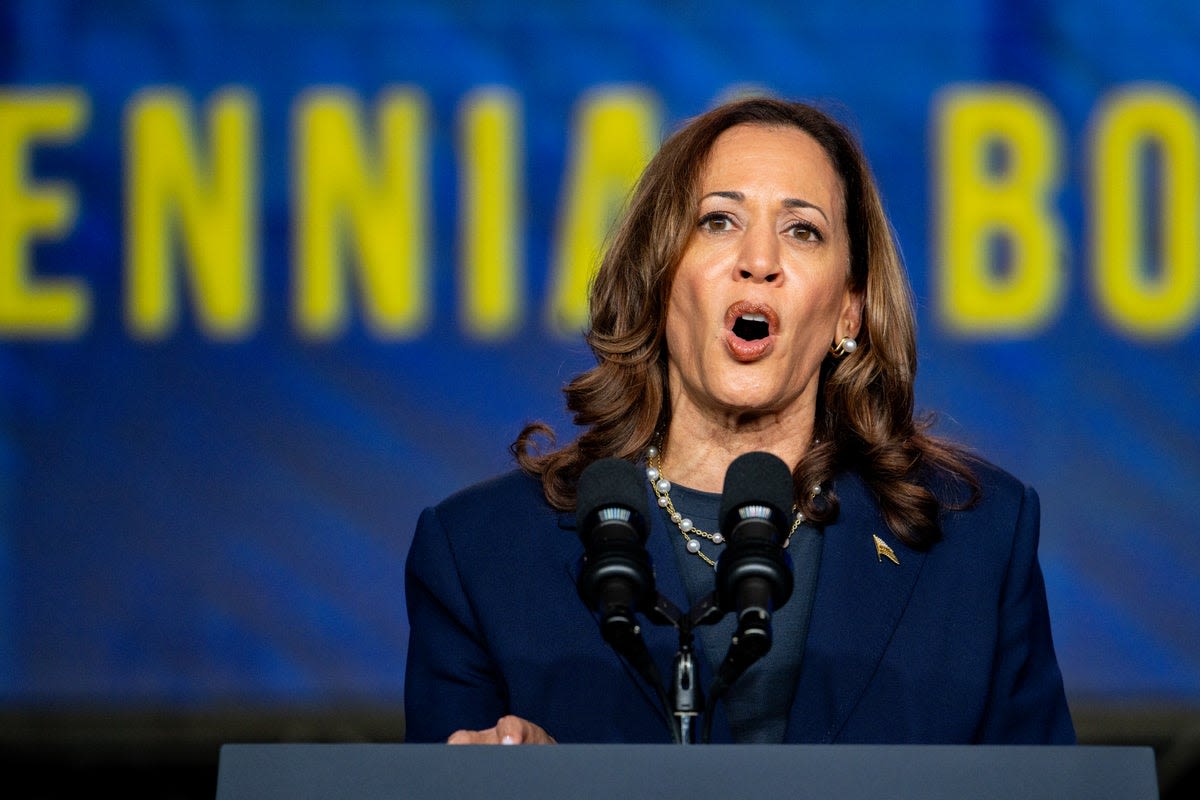 Kamala Harris responds to Trump’s attack on her racial identity as DNC virtual roll call begins to make her nominee: Live updates