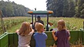 The 10 Best Hayrides Near NYC to Visit This Fall