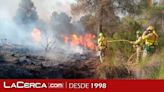 Estabilizado el incendio forestal declarado este viernes en Hellín (Albacete)