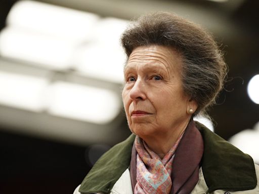 Royal news – live: Princess Anne in hospital after being kicked by horse as Charles welcomes Japan’s emperor