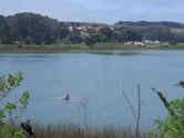 Lake Merced