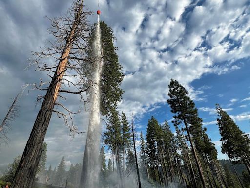 Yosemite National Park Update on July Lightning Strike Fires from Storms - Fires are in High Elevation Wilderness Ranging from 4,700 to 9,800 Feet