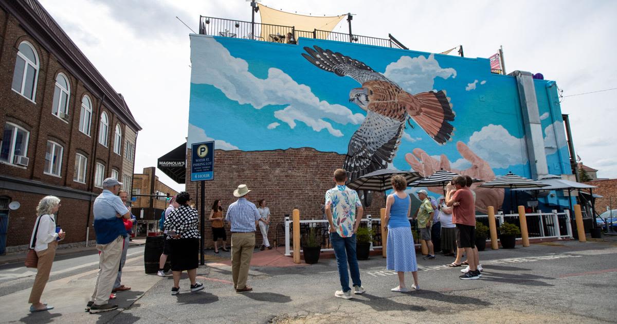 Mural Dedication Honors Late JMU Professor