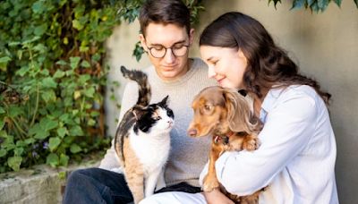 People are giving up pets due to costs: How to keep those expenses down