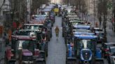 Las protestas de los agricultores estallaron en toda Europa. Este es el motivo