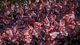 El Girona confirma que jugará la Liga de Campeones en Montilivi