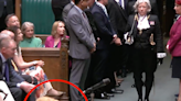 Eagle-eyed viewers spot newest (canine) member of House of Commons on TV