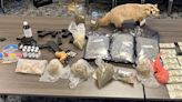18-year-old found with over 5 pounds of marijuana during Ashe Co. traffic stop
