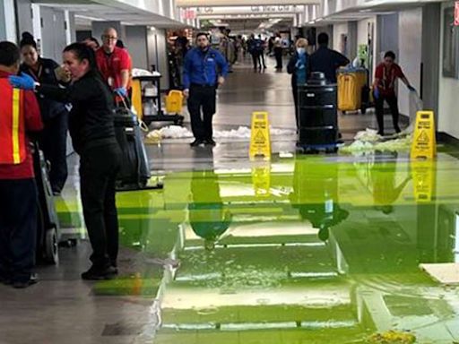 Neon Green Liquid Oozes From Ceiling at Miami Airport Leaving Travelers Baffled: ‘Looks Radioactive’