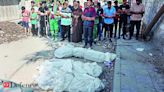 60 bodies found in 2 Gaza City districts: Civil defence - The Economic Times