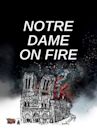 Notre Dame on Fire