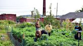 Liberty and food justice for all