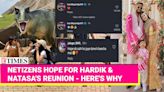 Natasa's Adorable Serbia Day Out with Son - Ex - Husband Hardik's Reaction Has Netizens DEMANDING Their Reunion!