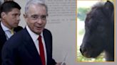 Expresidente Uribe no se rinde con la ‘vaca’ para vías 4G en Antioquia y rifará un tierno potro negro