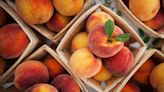 The Best Way to Store Peaches, According to a Farmer