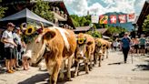 Why it's high time for slow travel in Gstaad