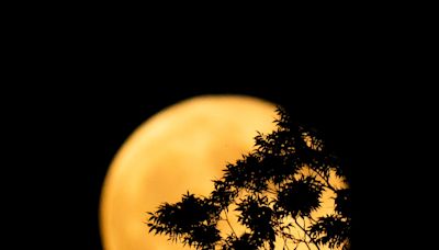 Next full harvest moon also a supermoon, partial lunar eclipse. When to see Tuesday night