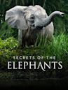 Secrets of the Elephants