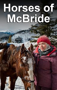 Horses of McBride