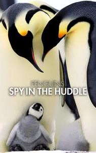 Penguins: Spy in the Huddle