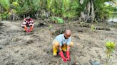 Nigerians strive to bring mangrove forests back to life