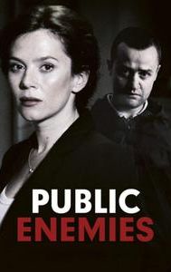 Public Enemies