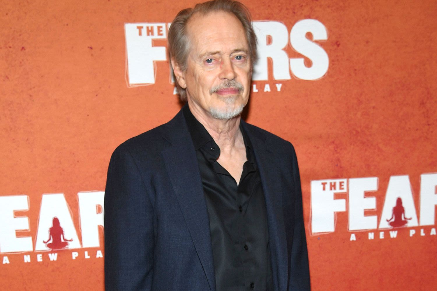 Steve Buscemi Punched in 'Random' Attack While Walking in N.Y.C.