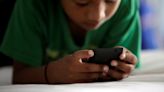 Mississippi law restricting children’s social media use blocked