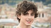 Timothée Chalamet told Greta Gerwig that he should have been in the 'Barbie' movie after visiting the set