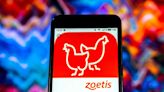 Zoetis Stock Rising — A Good Addition For Your Portfolio?