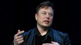 Twitter: Elon Musk da marcha atrás y suspende la verificación paga en medio de una ola de cuentas falsas