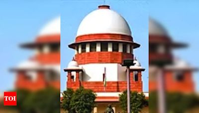 Supreme Court Stays Uttarakhand High Court Ambitious Relocation Plan | Delhi News - Times of India