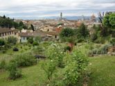 Giardino delle Rose