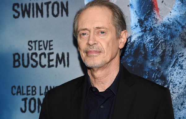 Actor Steve Buscemi is OK after being punched in the face in New York City