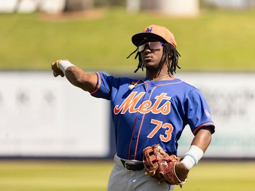 New York Mets Promote Brother Of Ronald Acuña, Jr. To Fill Infield Hole